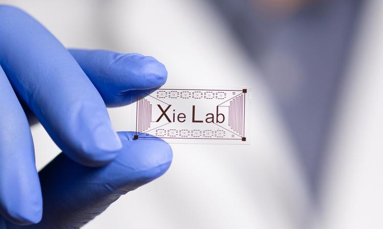 Xing Xie's gloved hand holds an example of an electrode chip with "Xie Lab" printed on.
