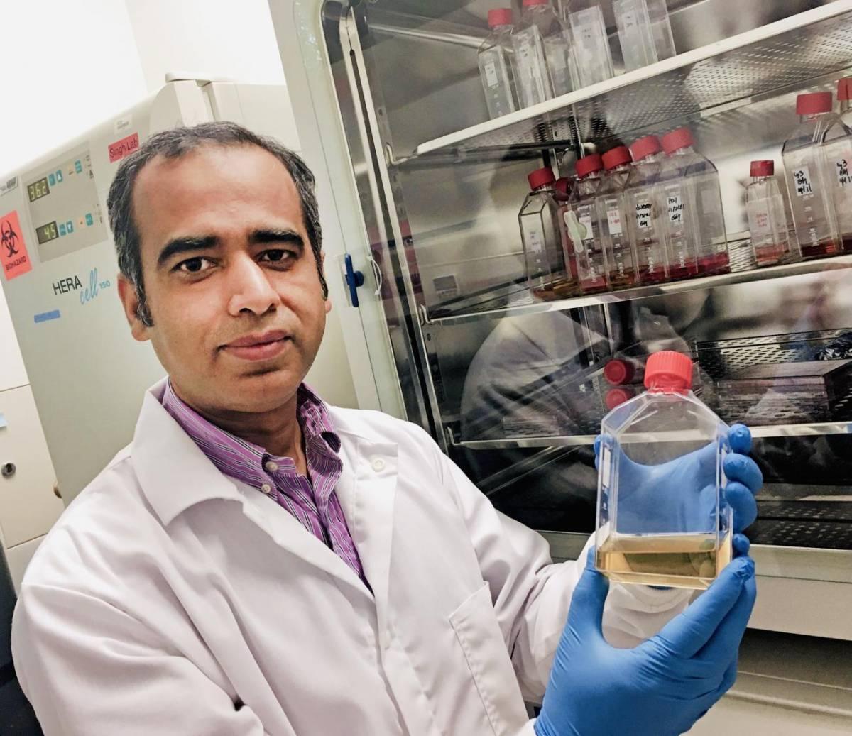 Ankur Singh in his lab with a synthetic hydrogel