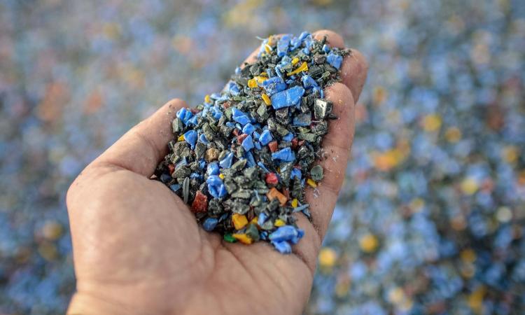 person holding small pieces of plastics