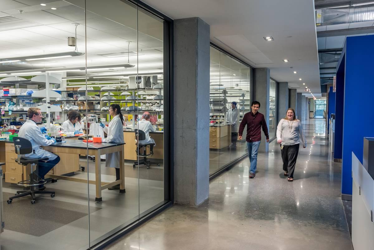 Faculty and staff work alongside each other in lab and office space.