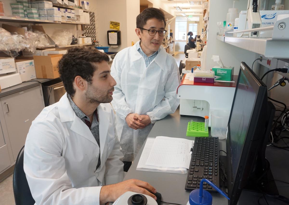 Gabe Kwong and Ph.D. student Ali Zamat work at a computer in the lab
