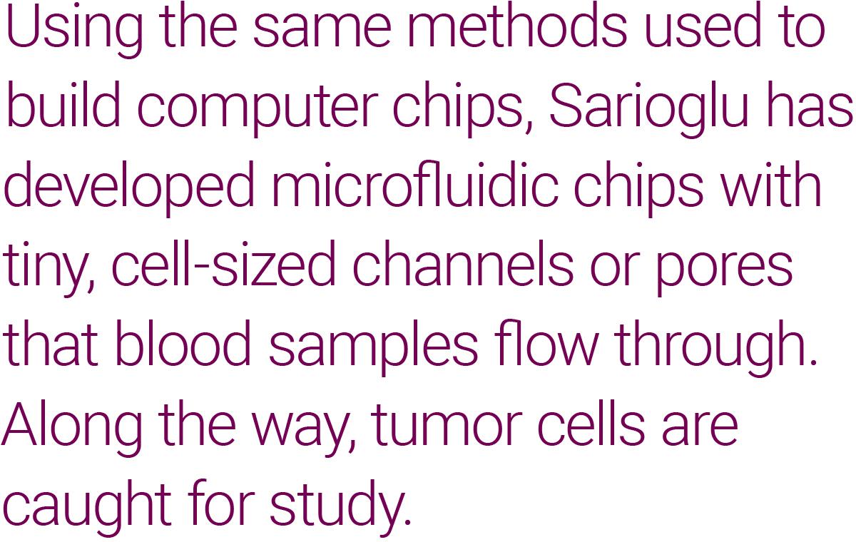 Using the same methods used to build computer chips, Sarioglu has developed microfluidic chips with tiny, cell-sized channels or pores that blood samples flow through. Along the way, tumor cells are caught for study.
