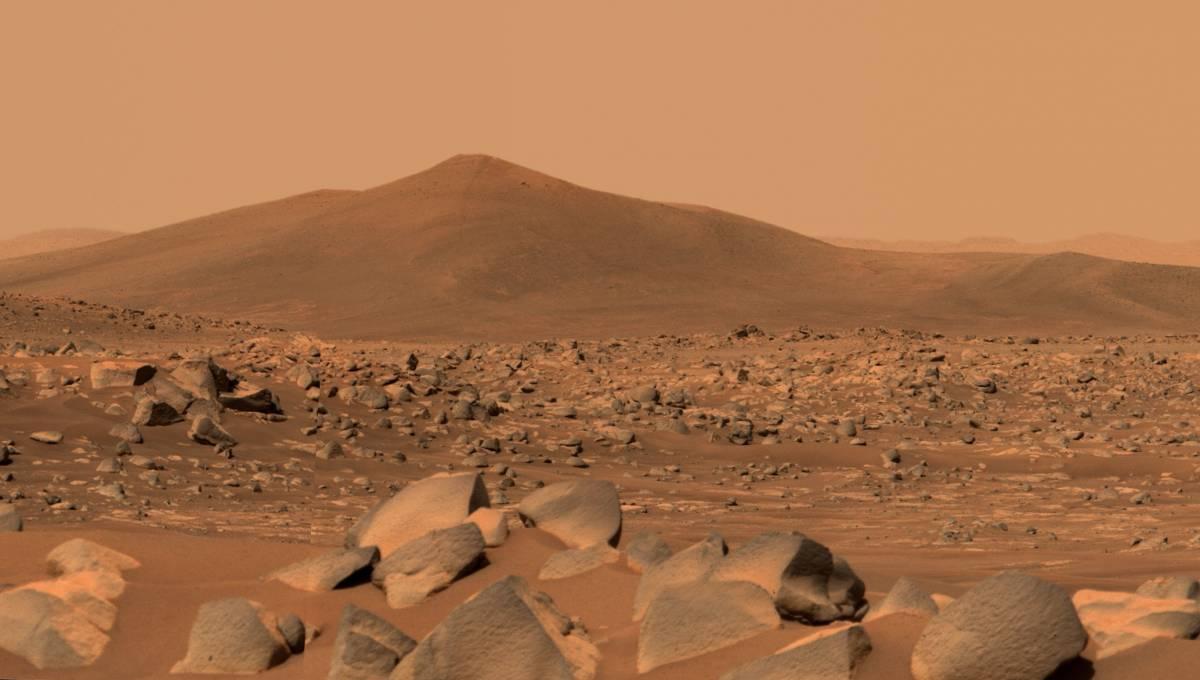 Surface of Mars