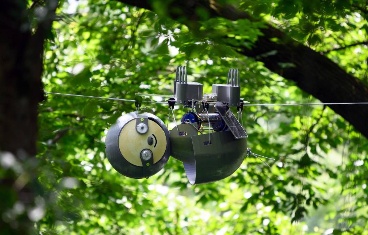 SlothBot on wire